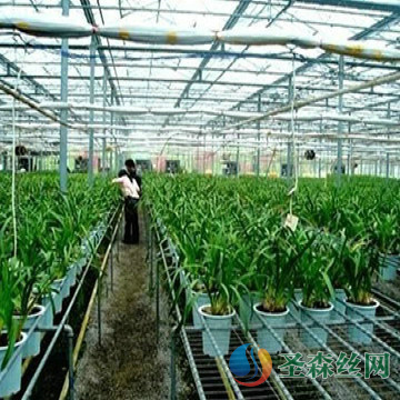 承德某花卉網片應用案例